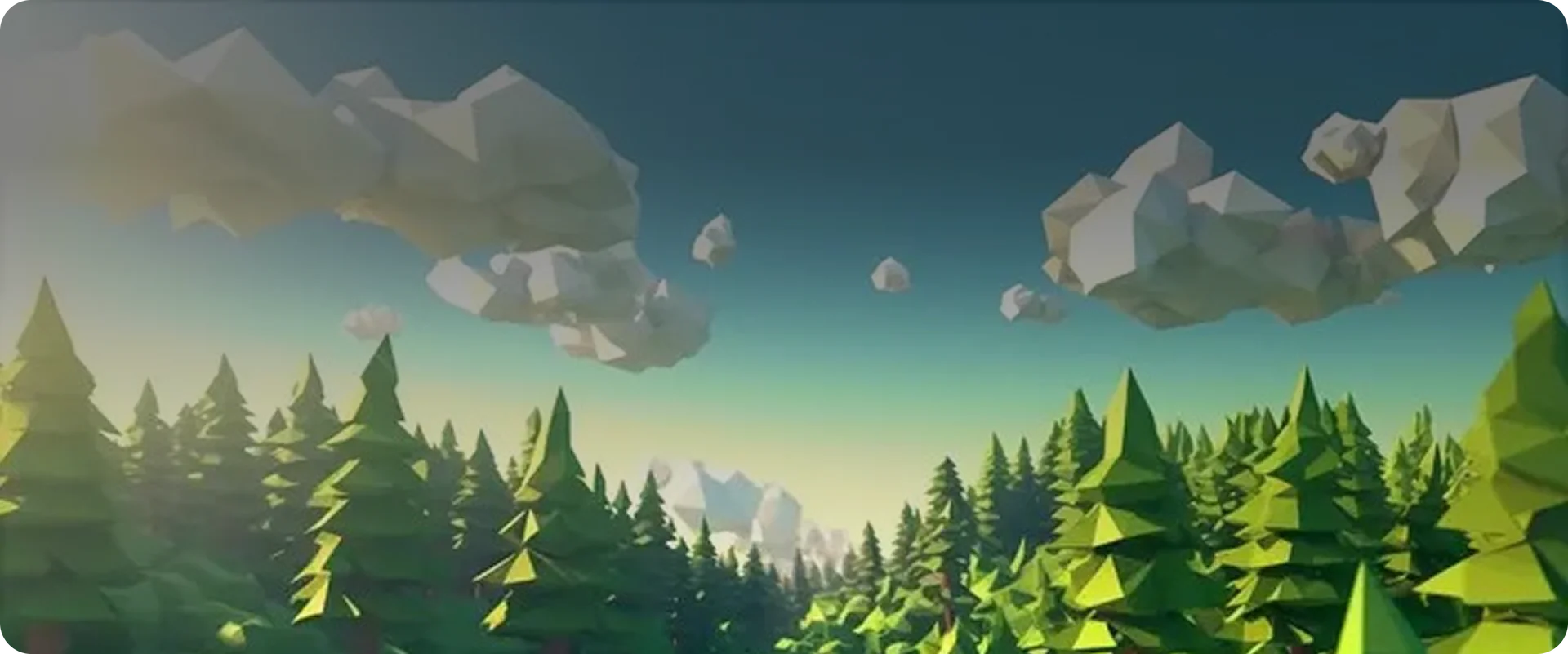 Forest landscape: book your free ESG consultation